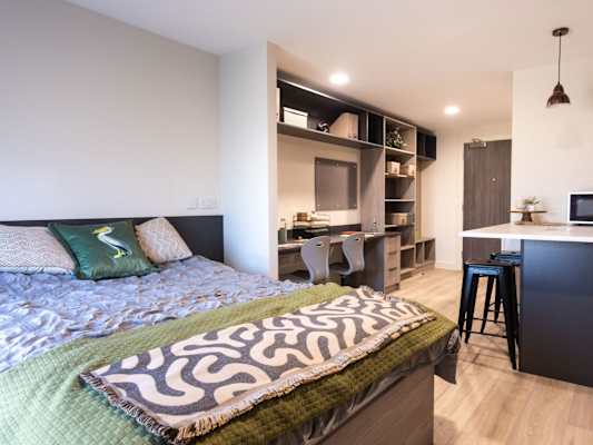 Superior Studio room type